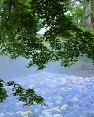楽法寺（雨引観音）(茨城県)