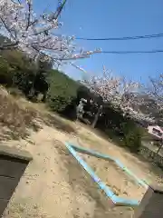 塩釜神社の自然