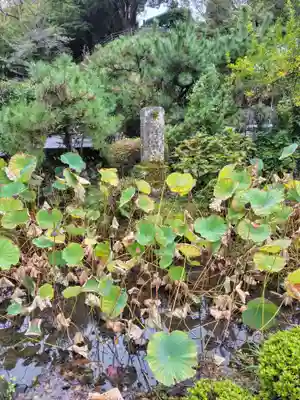 安楽寺(静岡県)