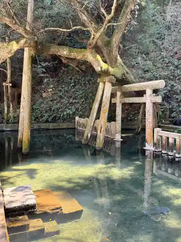 奥宮(鹿島神宮摂社)(茨城県)