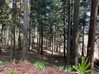 大宮温泉神社(栃木県)