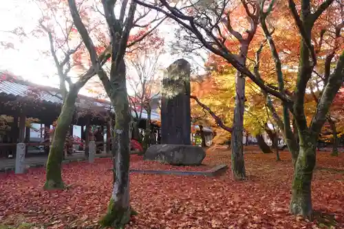 東福禅寺（東福寺）(京都府)