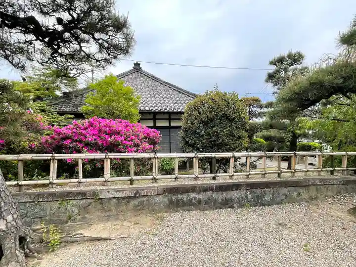 来迎院(常楽寺塔頭)の自然