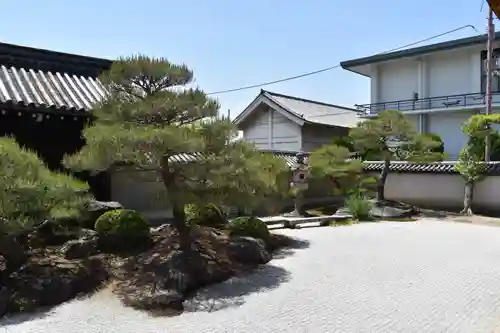 観智院（東寺子院）の庭園