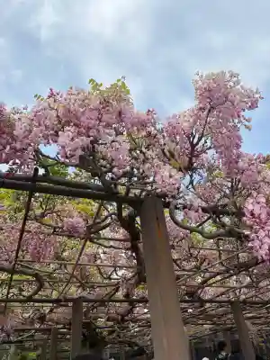 行興寺(静岡県)