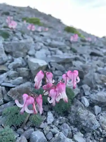 若一王子神社 奥宮(長野県)