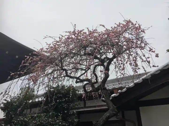 五條天神社の自然