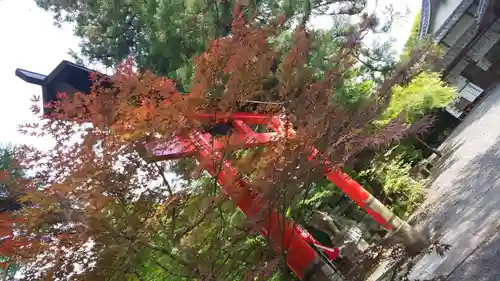 鍬山神社の鳥居