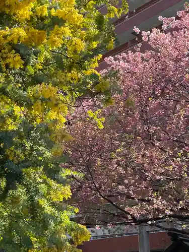 蔵前神社(東京都)