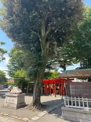 町田天満宮(東京都)