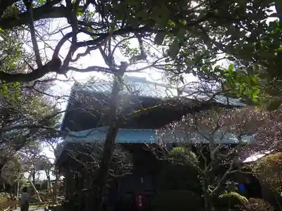 英勝寺の本殿・本堂