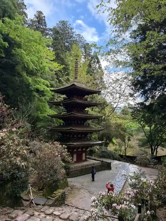 室生寺の{uncategorized: "未分類", other: "その他", undefined: "問題あり", building: "その他建物", grave: "お墓", sacred_gate: "鳥居", guardian: "狛犬", statue: "像", buddha: "仏像", history: "歴史", nature: "自然", garden: "庭園", animal: "動物", pagoda: "塔", temizu: "手水舎", mountain_gate: "山門・神門", sanctuary: "本殿・本堂", subordinate: "末社・摂社", art: "芸術", scenery: "景色", jizo: "地蔵", ema: "絵馬", goshuin: "御朱印", omikuji: "おみくじ", items: "授与品その他", amulet: "お守り", goshuincho: "御朱印帳", eats: "食事", festival: "お祭り", votive_dance: "神楽", shichigosan: "七五三参", wedding: "結婚式", experience: "体験その他", initially: "初詣", around: "周辺", anti_infection: "感染症対策"}