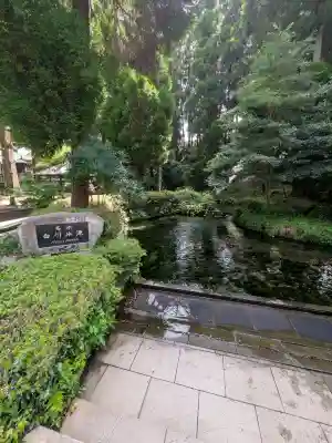 白川吉見神社(熊本県)