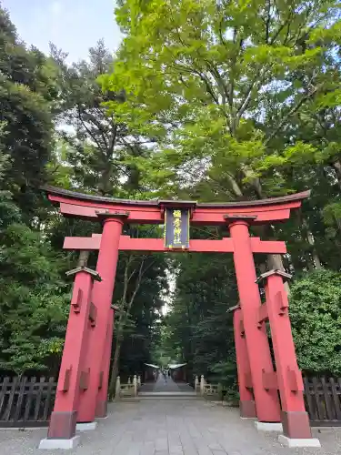 彌彦神社(新潟県)