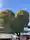 みきねえさん