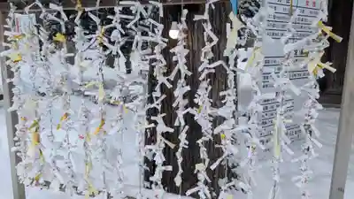 旭川神社のおみくじ