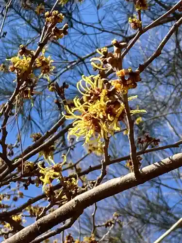 十二山神社(群馬県)