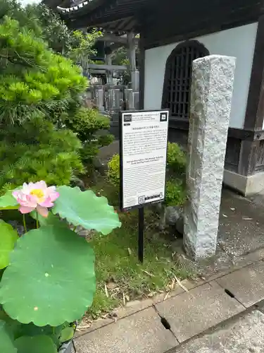 光念寺(神奈川県)