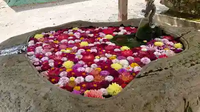 嵐山瀧神社の手水舎