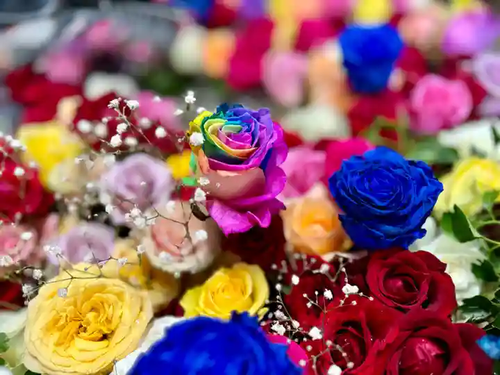 札幌諏訪神社の手水舎