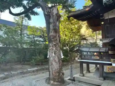 大将軍八神社(京都府)