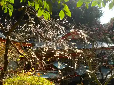 荏柄天神社のその他建物