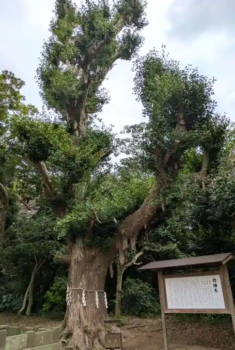 鎌数伊勢大神宮(千葉県)