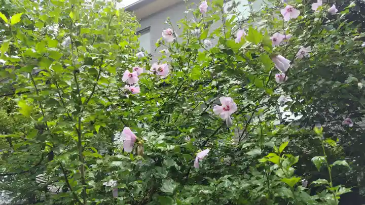 梨木神社(京都府)