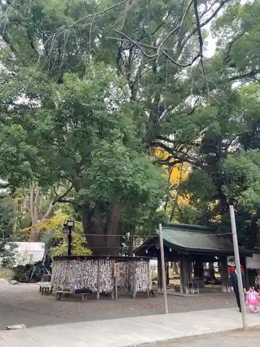 平塚八幡宮(神奈川県)