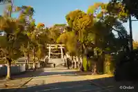 百舌鳥八幡宮(大阪府)