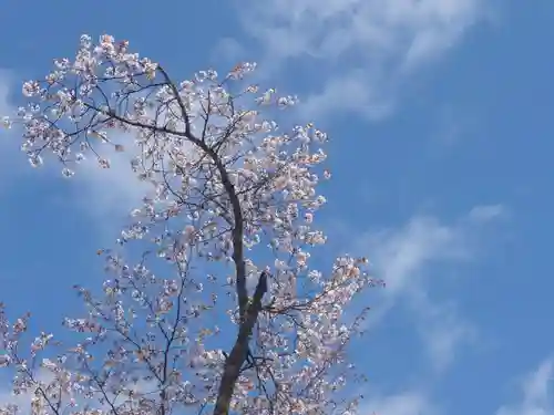 豊龍神社(山形県)