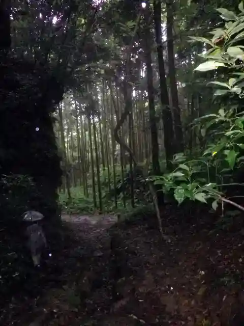 熊野神社の周辺
