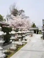 伊和志津神社の建物その他