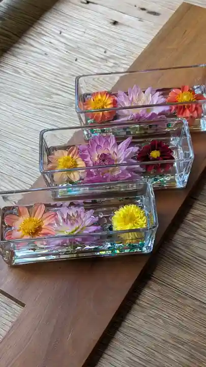 二尊院(京都府)