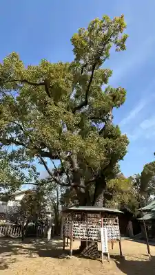 屯倉神社(大阪府)