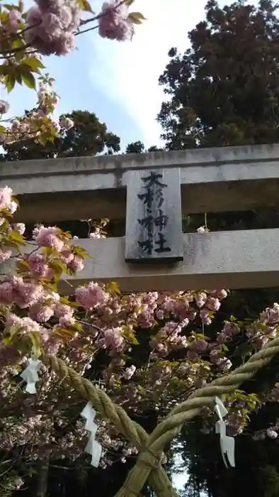 大杉神社の鳥居