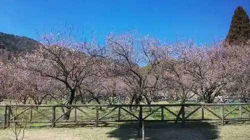 菅原神社の自然