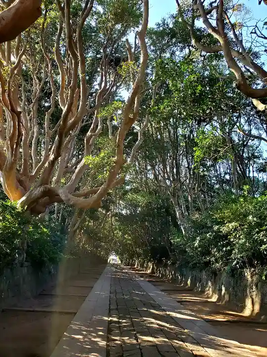 酒列磯前神社の景色
