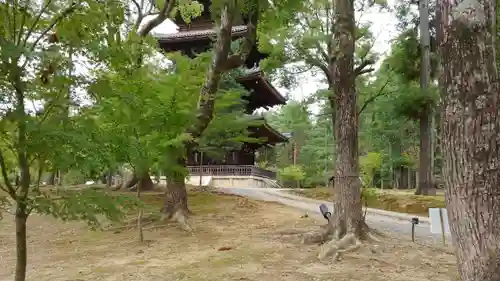 仁和寺のその他建物