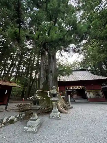 北口本宮冨士浅間神社(山梨県)