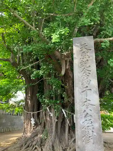 葛飾八幡宮(千葉県)