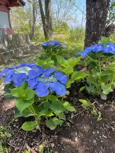 釧路一之宮 厳島神社の自然