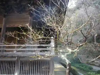 妙本寺の本殿・本堂