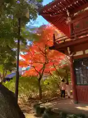 本土寺(千葉県)