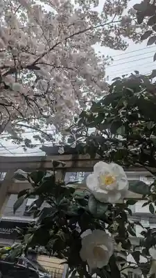 菅大臣神社(京都府)