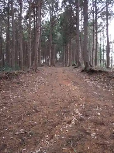 近津神社の自然