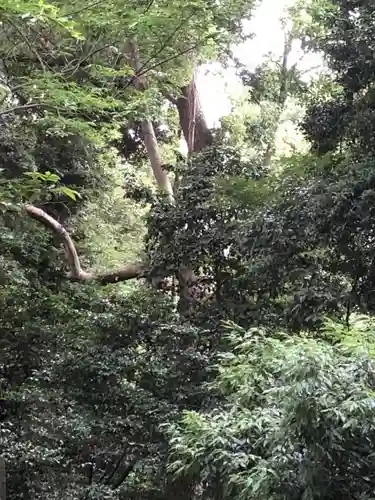 武蔵一宮氷川神社の自然