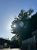 布施弁天 東海寺(千葉県)