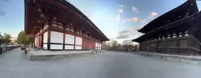 東寺（教王護国寺）(京都府)