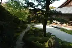 金福寺の庭園